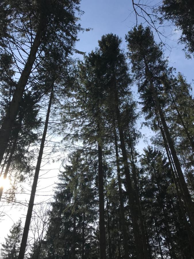 Wohnung Mit Panoramablick Gerolstein Bagian luar foto
