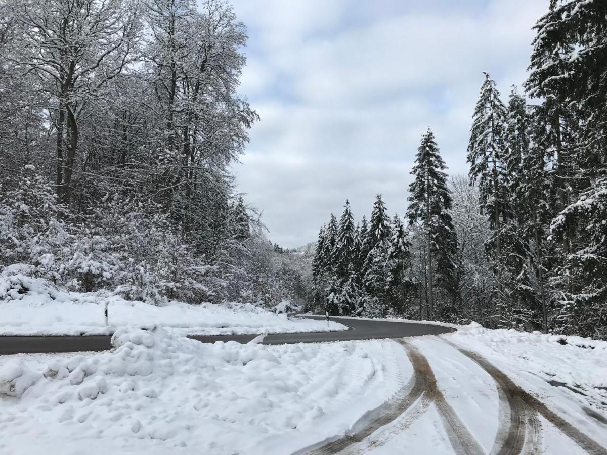 Wohnung Mit Panoramablick Gerolstein Bagian luar foto